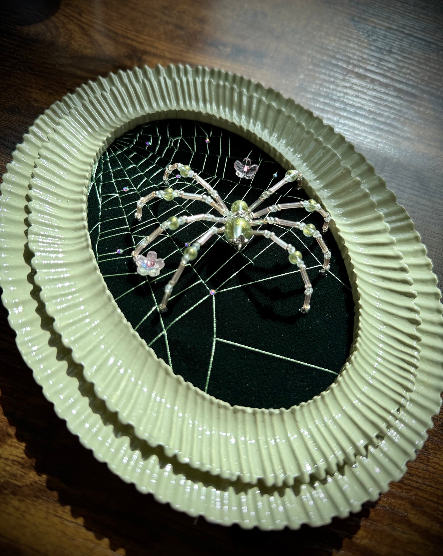 Spring Garden Spider ๐ท๏ธ๐ธ๐