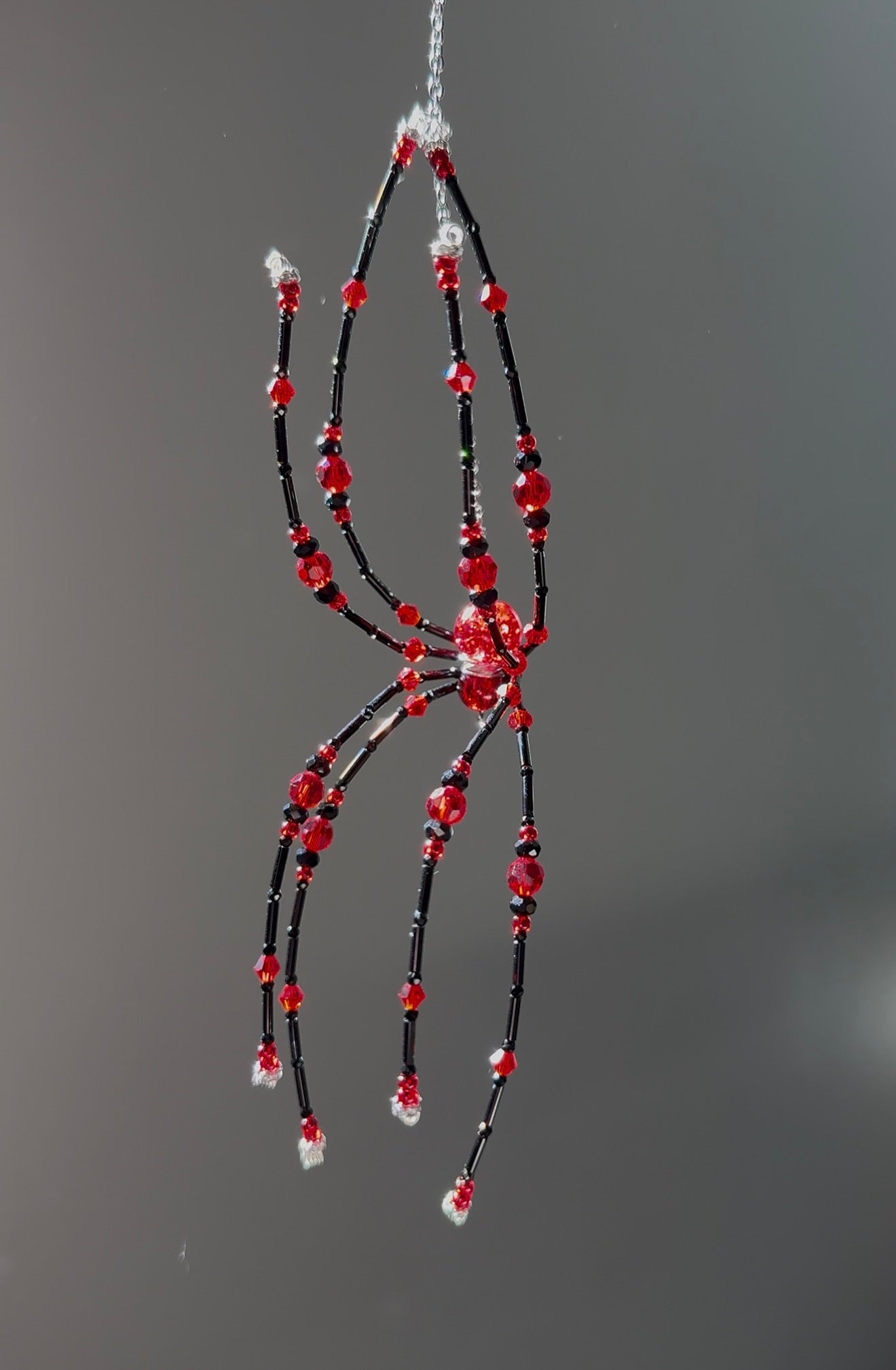 Little Vampie Spider