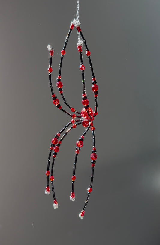 Little Vampie Spider