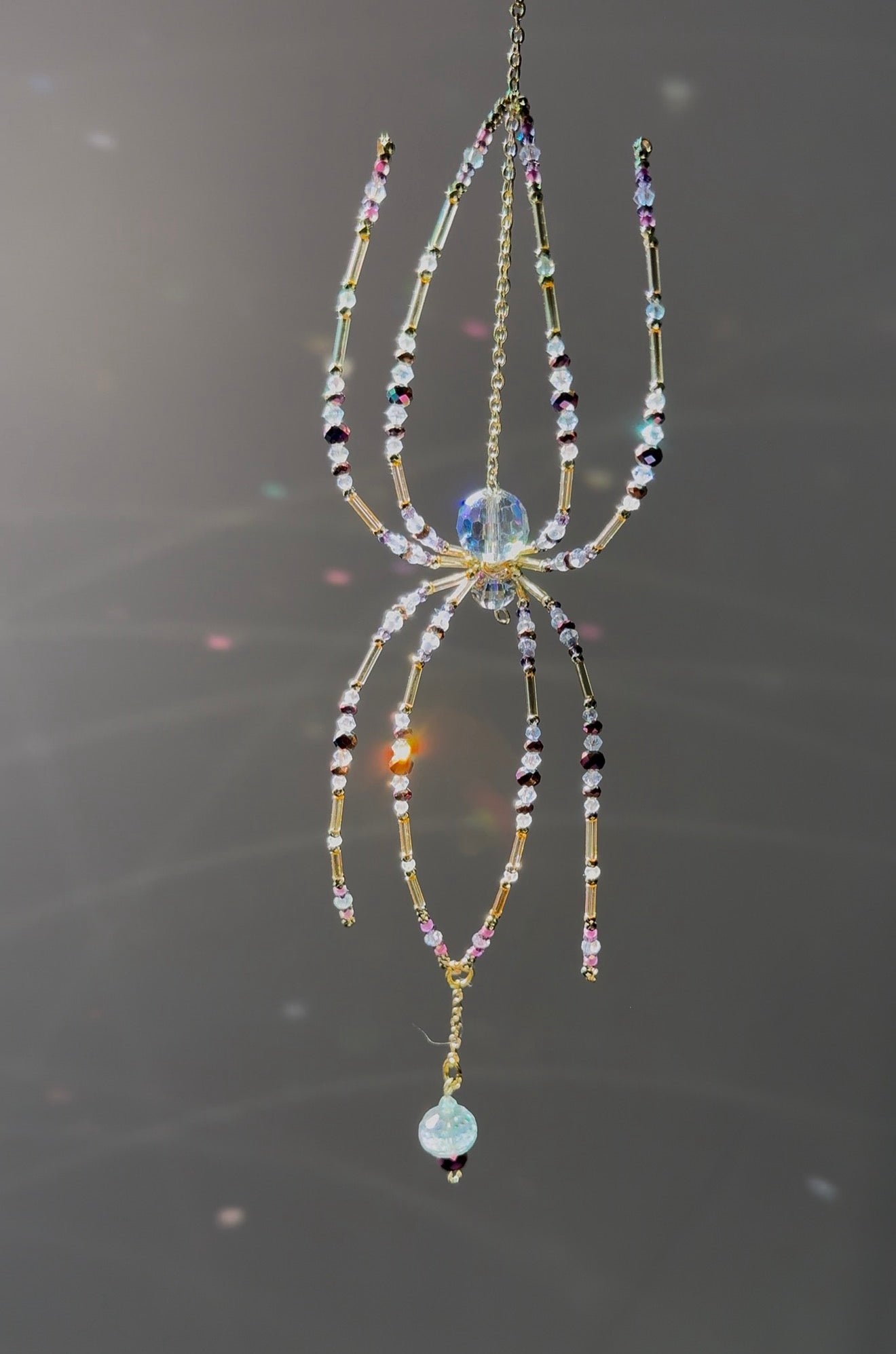 Aurora weaver spider