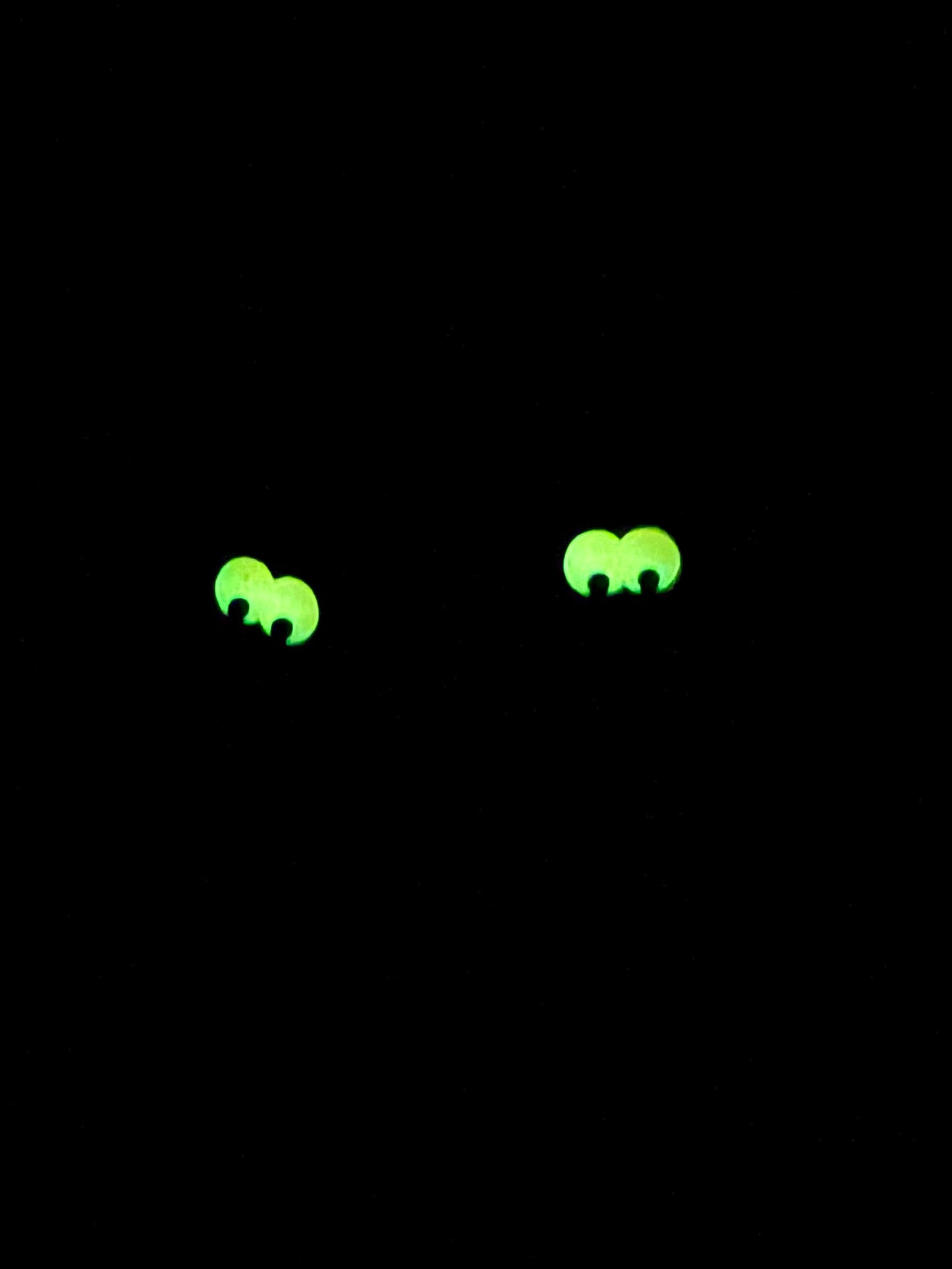 GLOW Black Bat Earrings
