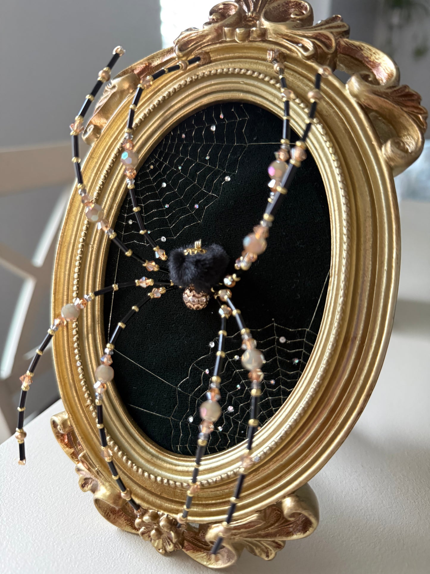 Elegant Framed Spider & Web