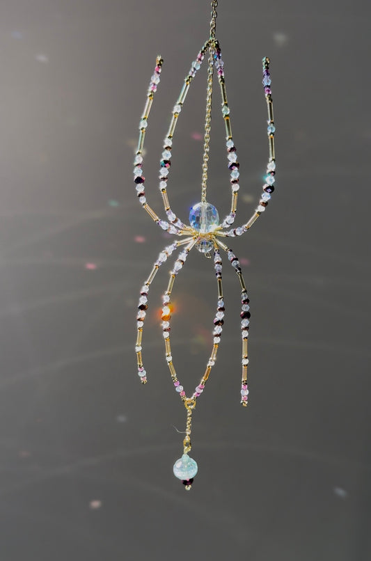 Aurora weaver spider