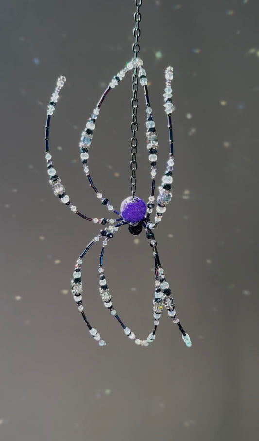 Witch Spider