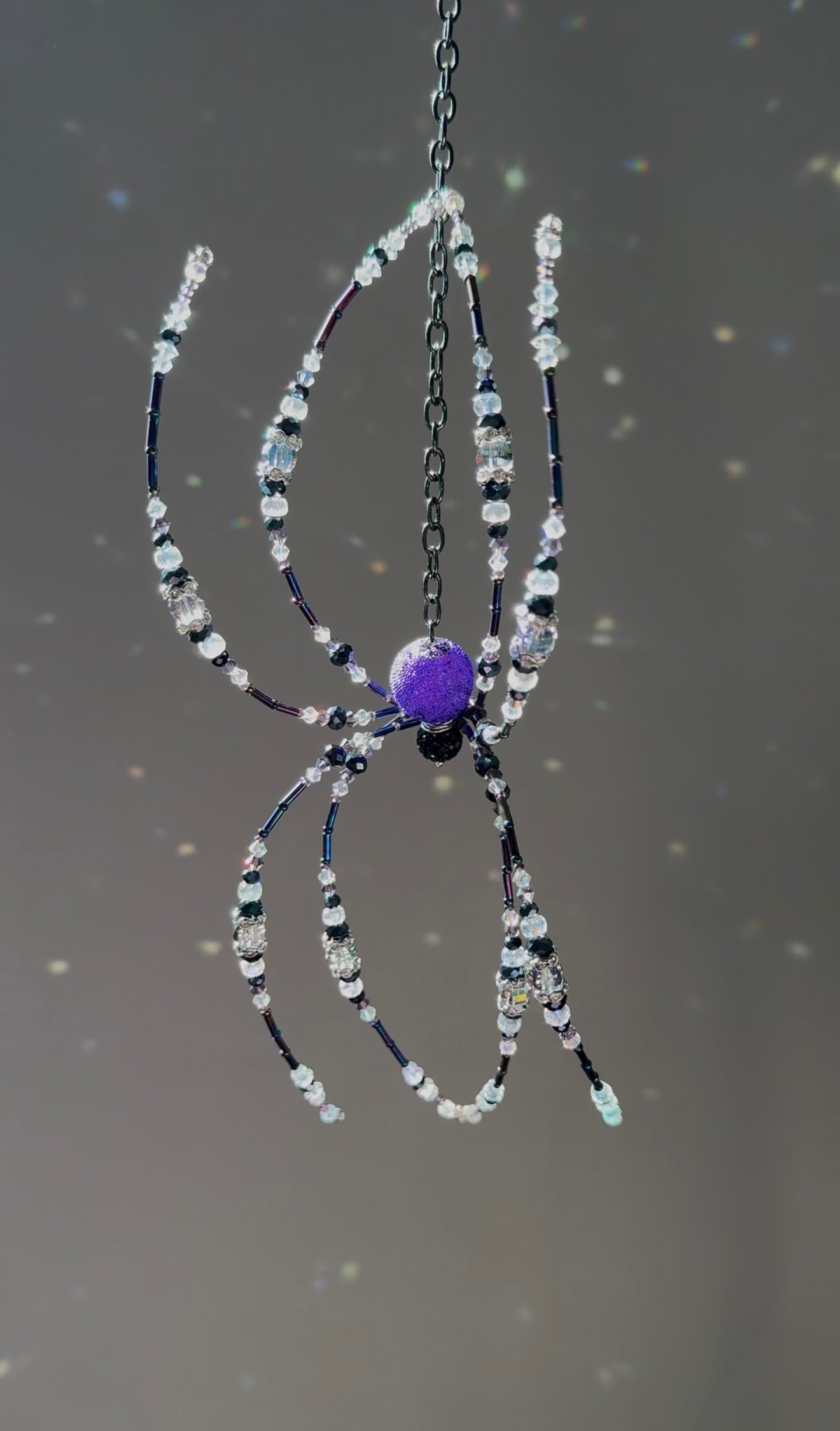 Witch Spider