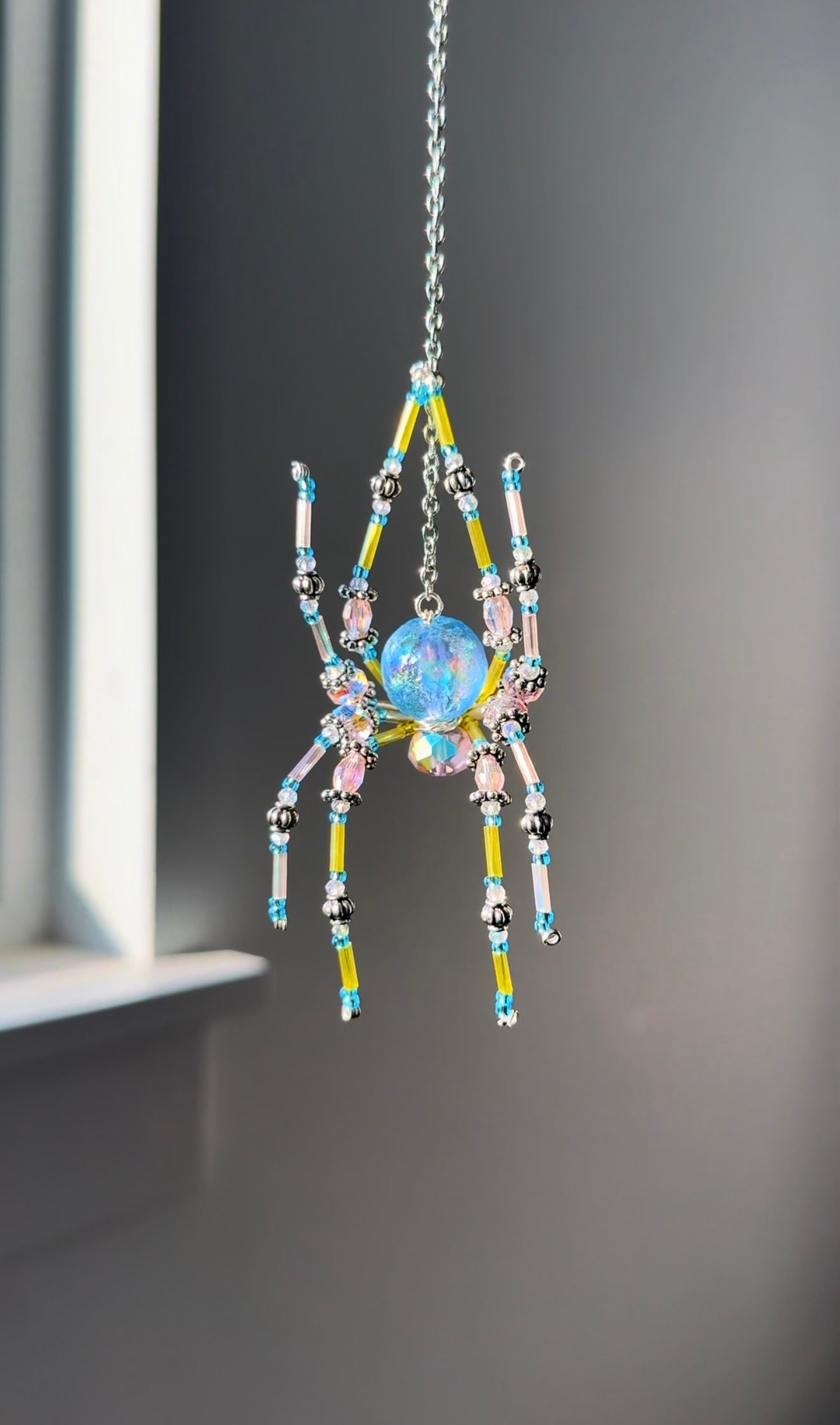 Charm Spider 🕷️✨