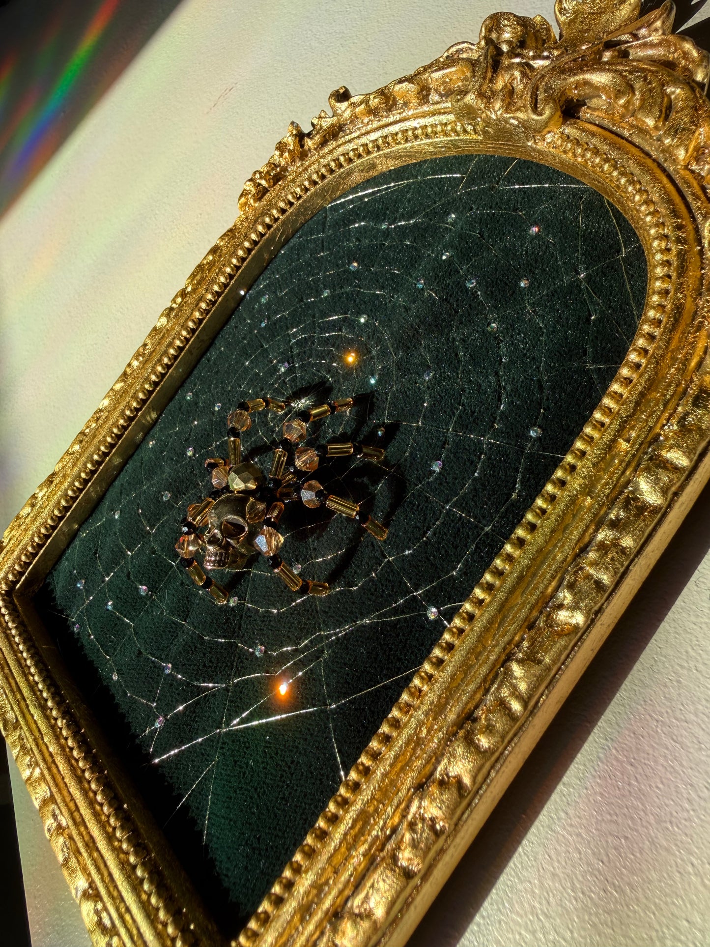 Framed Skull Spider & Web