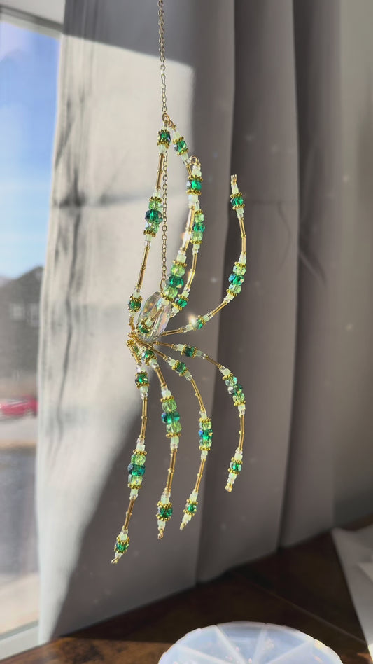 ✨ Green & Gold Spider Pre-Order ✨